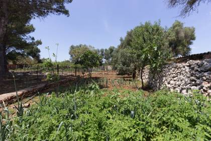 Maison de campagne avec grand terrain, vignes et piscine à Biniparrell, Sant-Lluís