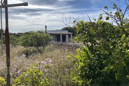 Terreno rustico con casita en Sant lluis