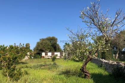 Terreno rustico con casita en Sant lluis