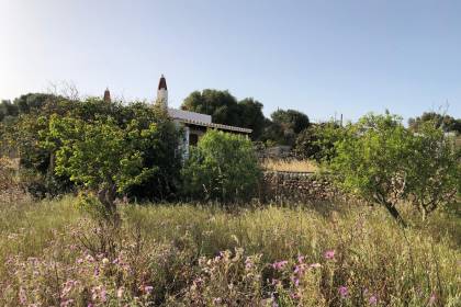 Terreno rustico con casita en Sant lluis