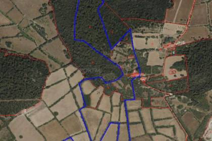 Finca rústica en Menorca con varias edificaciones, piscina, electricidad de red y pozo propio
