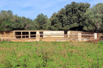 Menorcan Country House with Swimming Pool and Cultivable Land