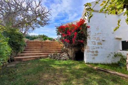 Menorcan Country House with Swimming Pool and Cultivable Land