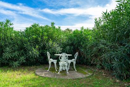 Menorcan Country House with Swimming Pool and Cultivable Land