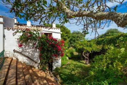Menorcan Country House with Swimming Pool and Cultivable Land