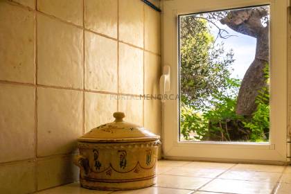 Menorcan Country House with Swimming Pool and Cultivable Land