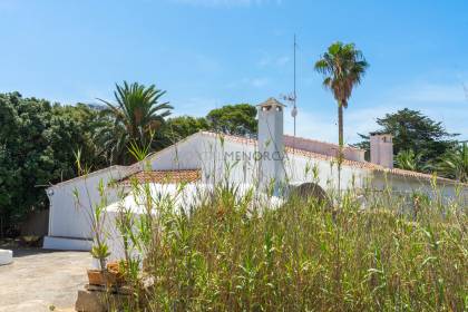 Agricultural estate with Agritourism potential in Alcaufar