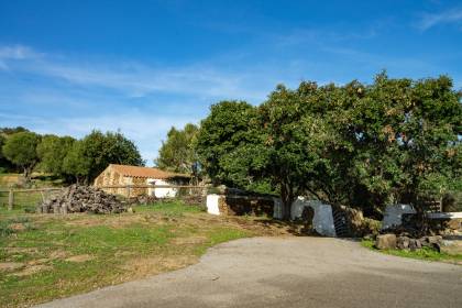 Casa de campo en venta en la zona de la Albufera des Grao