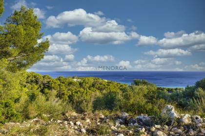 Plot with sea views and building licence in Santo Tomas