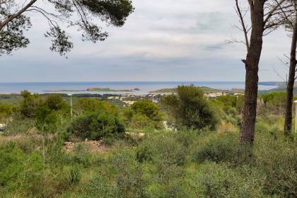 Plot of land with sea views in Coves Noves, north coast of the Island