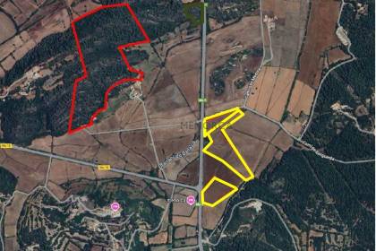 Agricultural land for planting in Alaior.