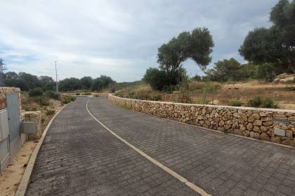 Plot with sea views in Santo Tomas.