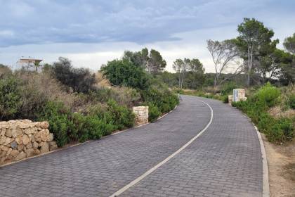 Plot with sea views in Santo Tomas.