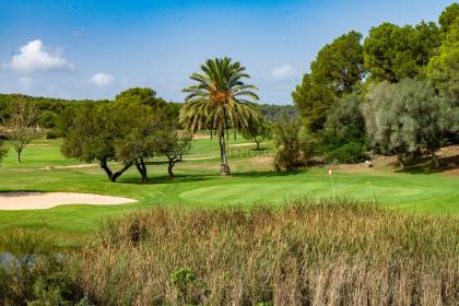 Exclusive plots with sea views in Coves Noves