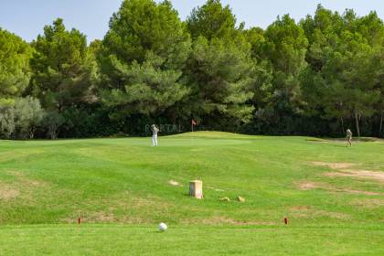 Exclusive plots with sea views in Coves Noves