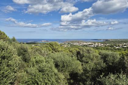 Exclusive plots with sea views in Coves Noves