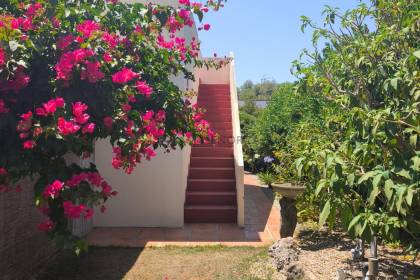 Detached villa with its own swimming pool in Cales Coves