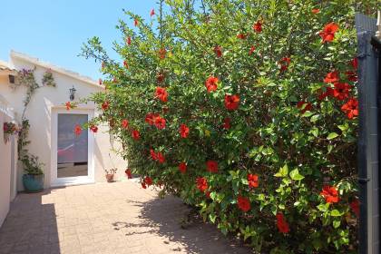 Detached villa with its own swimming pool in Cales Coves