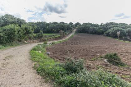 Finca agrícola en venta en Menorca