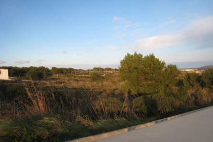 Plot with views to the sea in the exclusive Coves Noves.