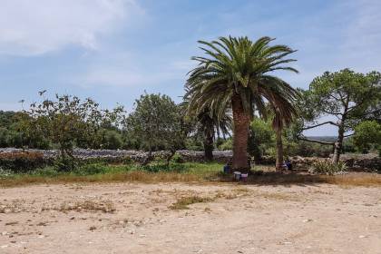 Finca agrícola en Ciutadella, Menorca.