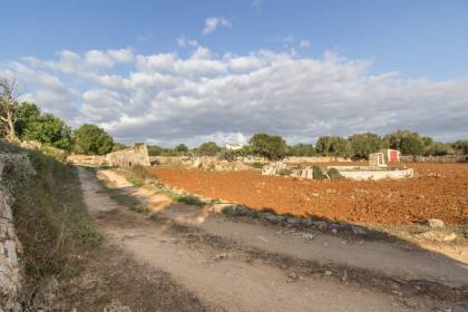 Rustic land for sale next to the village of Sant Lluís