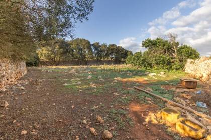 Terreno rústico en venta junto al pueblo de Sant Lluís