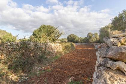Terrain rustique en vente à côté du village de Sant Lluís