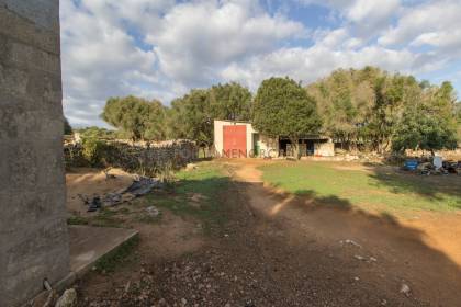 Rustic land for sale next to the village of Sant Lluís