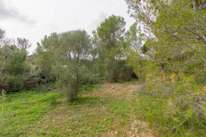 Large plot of land for sale in Sant Lluís