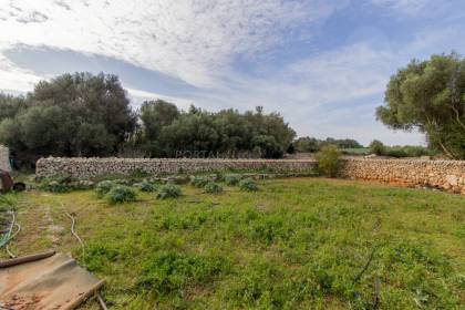 Plot of land for vegetable garden for sale in Sant Lluís