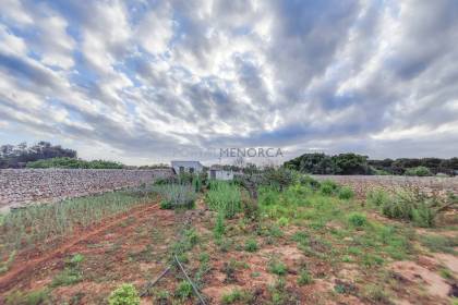 Terrain rustique avec puits communal à vendre à Sant Lluís