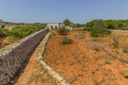 Terrain rustique avec puits communal à vendre à Sant Lluís