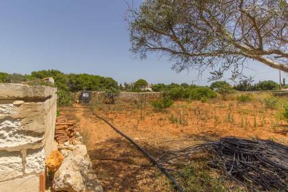 Terrain rustique avec puits communal à vendre à Sant Lluís