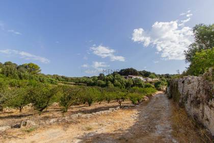 Traditional country house to renovate for sale in Alaior