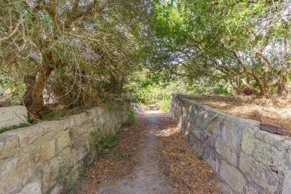 Traditional country house to renovate for sale in Alaior
