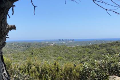 Parcela Edificable 10.000m2 con vistas de la costa Norte y el parque de S'albufera en Menorca