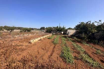 Orchard with several buildings, own well, electricity and telephone!!