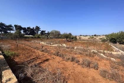 Orchard with several buildings, own well, electricity and telephone!!