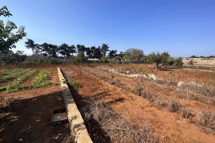 Orchard with several buildings, own well, electricity and telephone!!