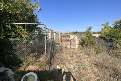 Orchard with several buildings, own well, electricity and telephone!!