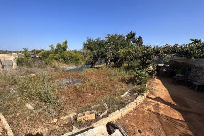 Orchard with several buildings, own well, electricity and telephone!!