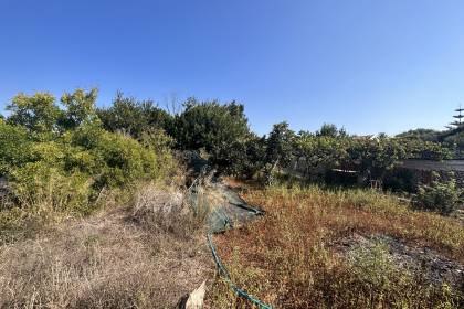 Orchard with several buildings, own well, electricity and telephone!!