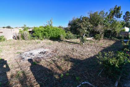 Orchard with several buildings, own well, electricity and telephone!!