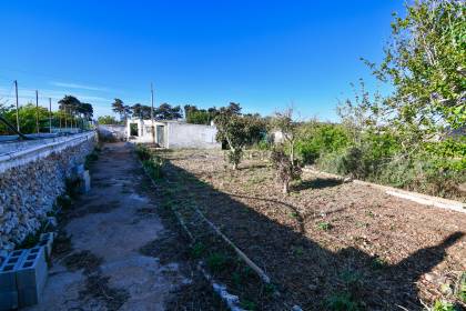 Orchard with several buildings, own well, electricity and telephone!!