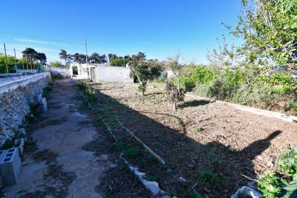 Orchard with several buildings, own well, electricity and telephone!!