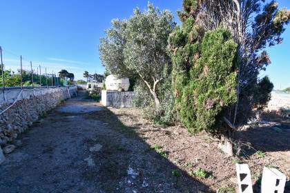 Orchard with several buildings, own well, electricity and telephone!!