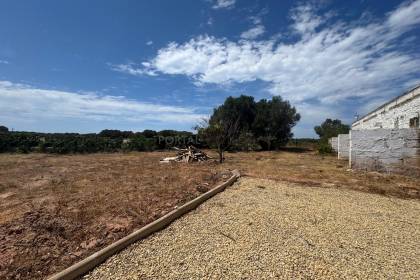 Un rincón de campo para disfrutar, cultivar y desconectar