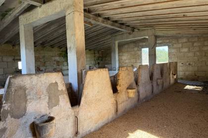 Rustic property to reform near Ciutadella.