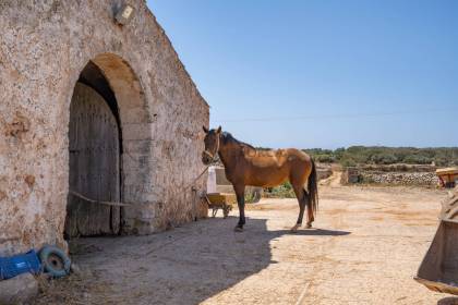 Two country houses, one with a tourist licence, on the south coast of Ciutadella